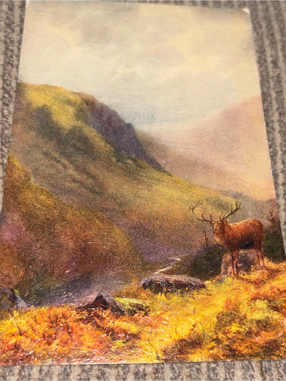 Vintage Postcard W H Dyer Red Deer Stag J Salmon Watercolor Art Moorland Print